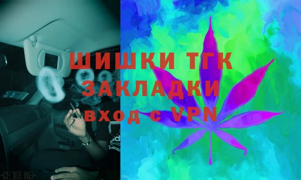 стаф Балахна
