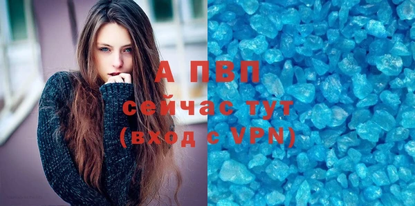стаф Балахна
