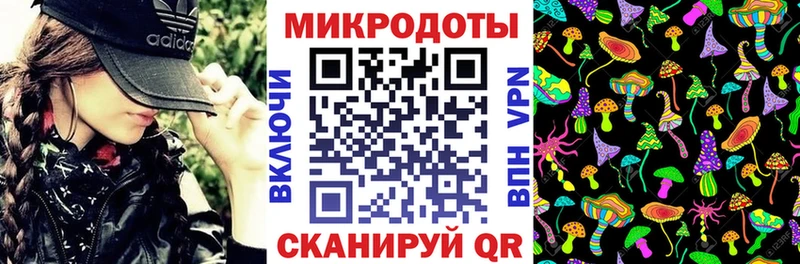 где можно купить   Лермонтов  Псилоцибиновые грибы Magic Shrooms 